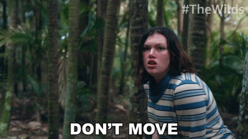 Dont Move Shannon Berry The Wilds GIF
