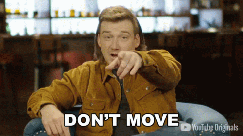 Dont Move Singer Morgan Wallen GIF