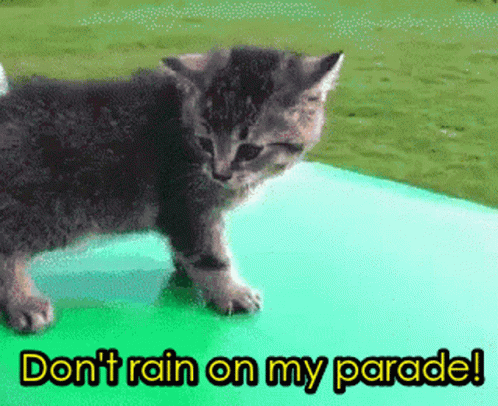 Dont Rain On My Parade Funny Animals GIF