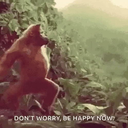 Dont Worry Be Happy Dancing Monkey GIF