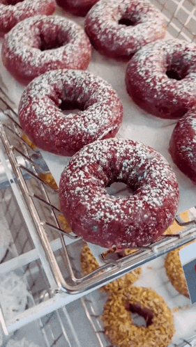 Donuts with Powdered Sugar