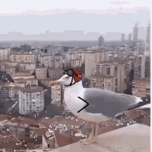 Doodle Art Seagull Taking Off Fly GIF