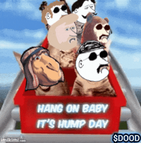 Doodxrpl Xrp Dude Gif GIF