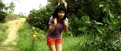 Dora Meme There Is A Bomb GIF