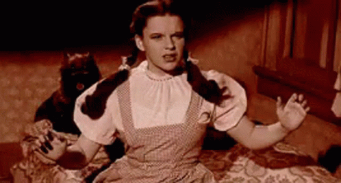 Dorothy From The Wizard Of Oz Is Sitting On A Bed With A Black Cat Behind Her . GIF