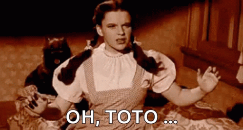 Dorothy From The Wizard Of Oz Is Sitting On A Bed With A Cat Behind Her And Says Oh Toto GIF