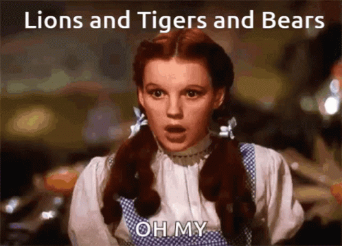 Dorothy From Wizard Of Oz Oh My GIF