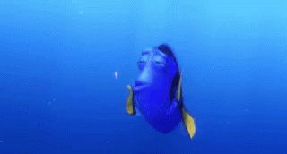 Dory Disappointed GIF
