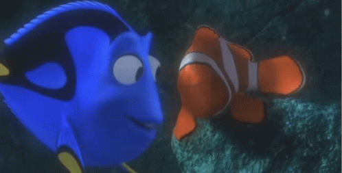 Dory Annoying Nemo GIF