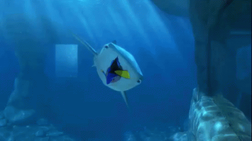 Dory Getting Chased By Sharks GIF