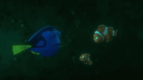Dory Explaining To Nemo GIF