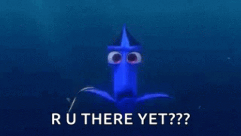 Dory R U There Yet GIF