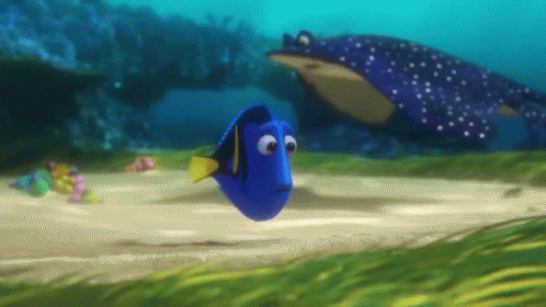 Worried Dory GIF