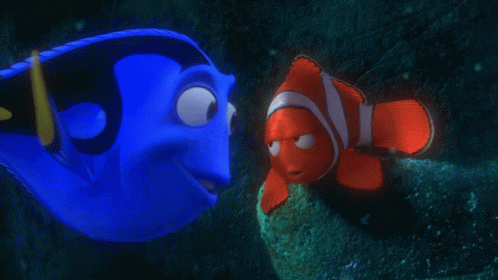 Dory and Clown Fish Looking at Each Other