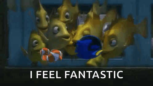 Dory and Clown Fish Looking at Each Other