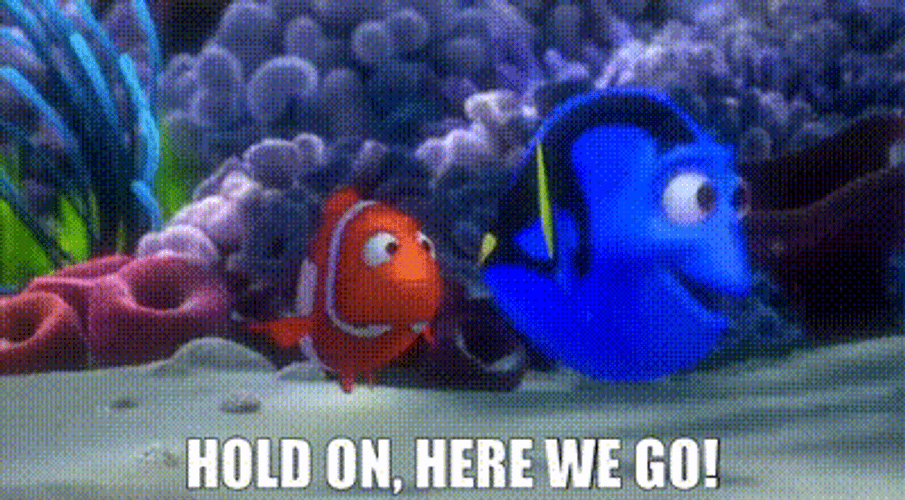 Dory And Nemo Hold On And Here We Go GIF