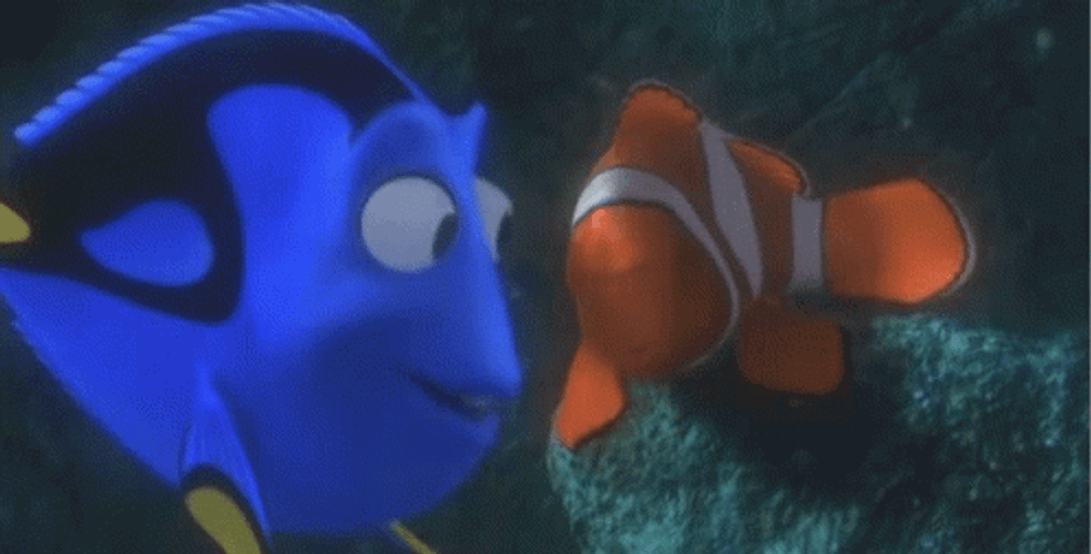 Dory Annoying Nemo GIF