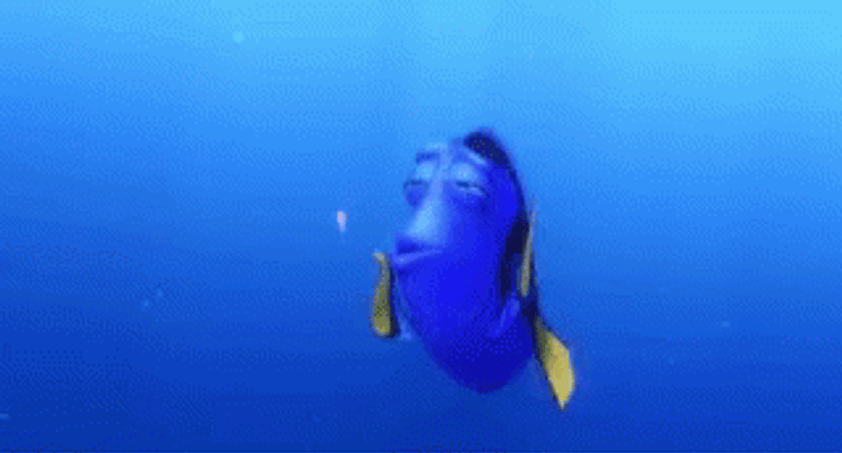 Dory Disappointed GIF