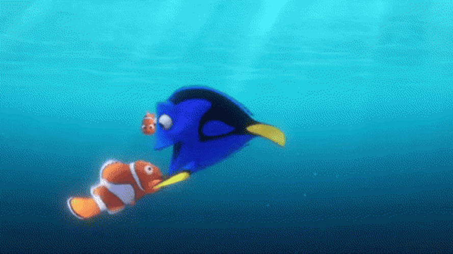 Dory Encircling Nemo GIF