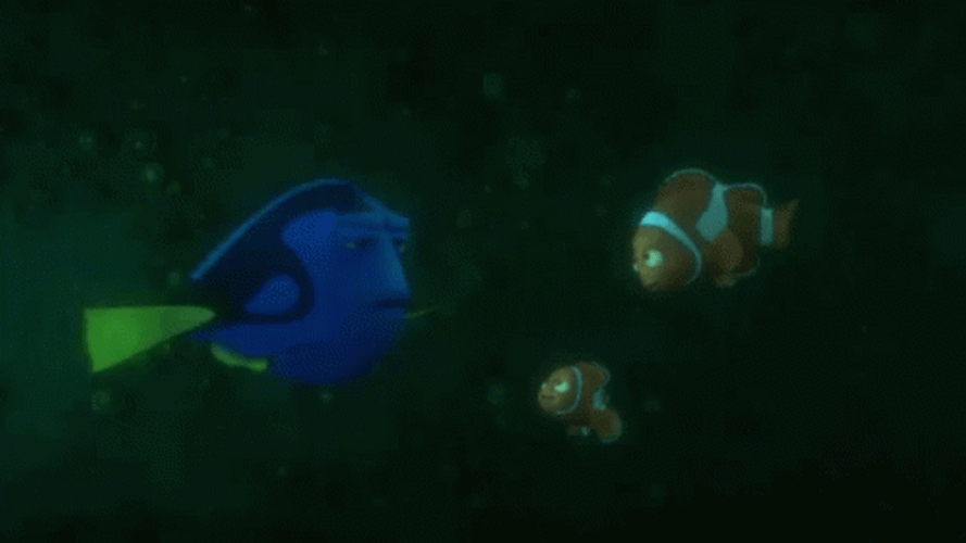 Dory Explaining To Nemo GIF