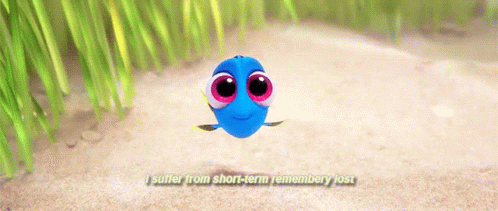 Dory Flying I Suffer From Short-Term Rememberry Lost GIF