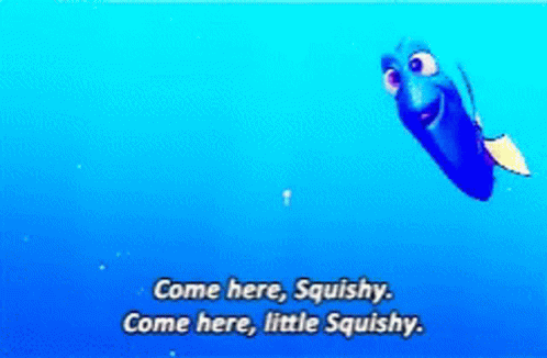 Dory From The Movie Finding Dory Is Swimming In The Ocean And Saying Come Here Squishy Come Here Little Squishy GIF
