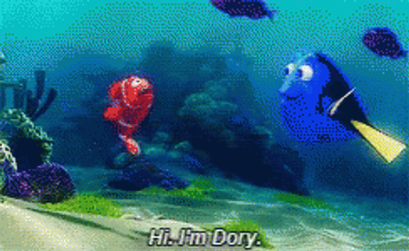 Dory Introducing Himself To Nemo GIF