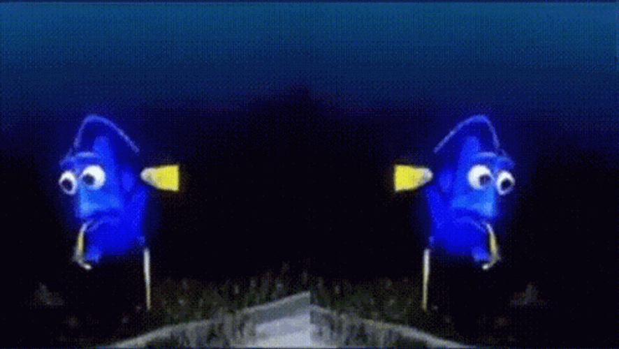 Dory Mirror GIF
