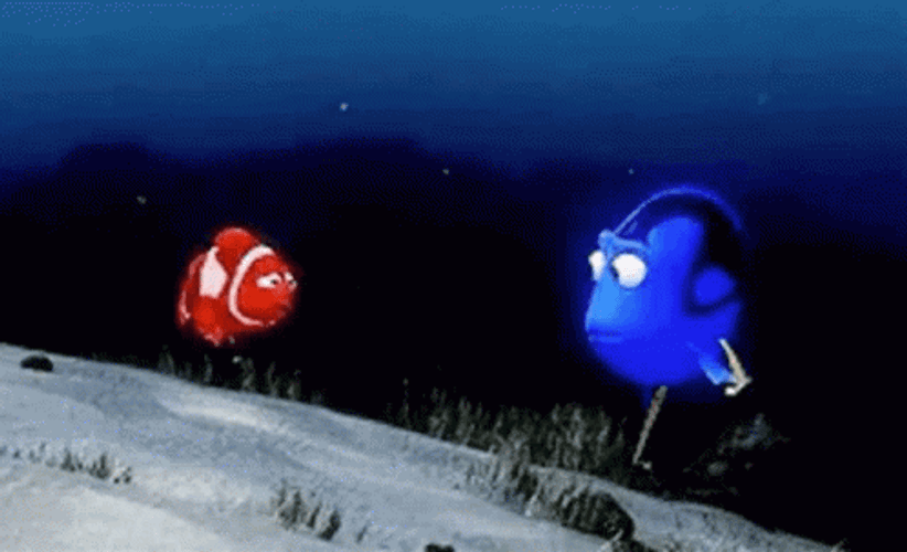 Dory Nemo Sad  GIF