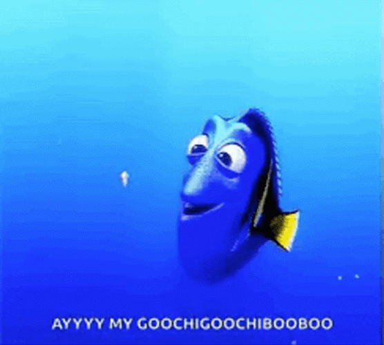 Dory GIF