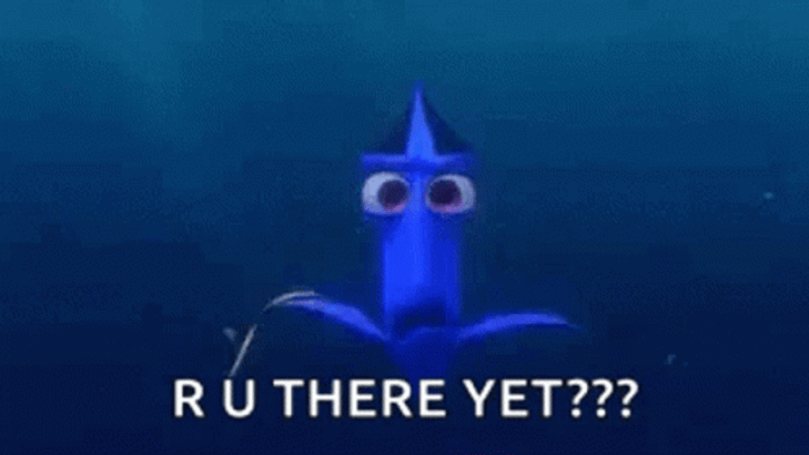 Dory R U There Yet GIF