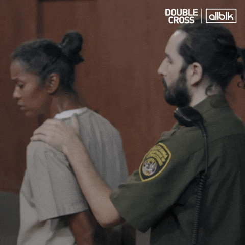Double Cross Right To Jail GIF