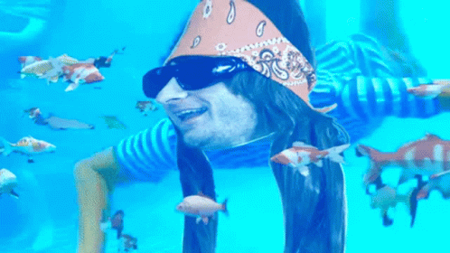Doubledougs Swimming With Fish GIF