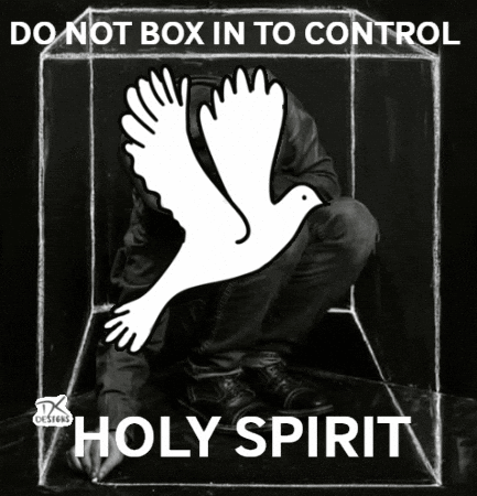Dove Saying Do Not Box In To Control Holy Spirit GIF