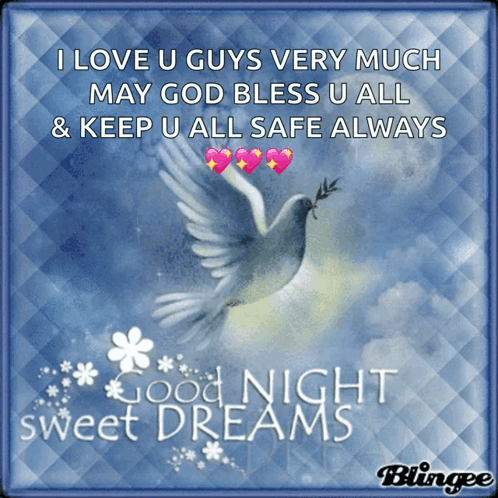 Dove With I Love U Guys Very Much GIF