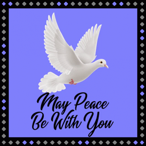 Dove With May Peace Be With You