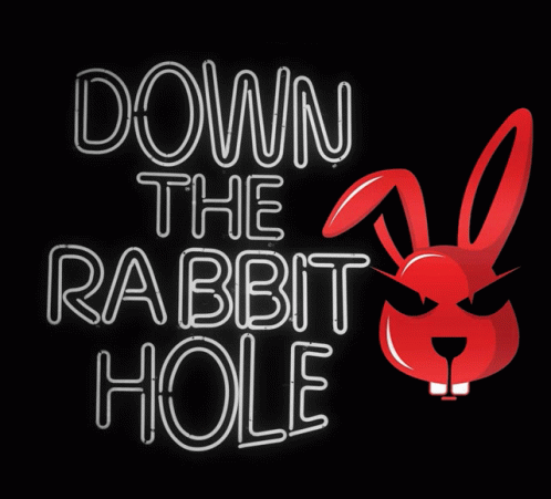 Down The Rabbit Hole GIF