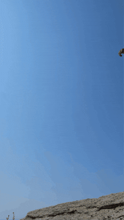 Downhill Sprint From Top Of Mountain GIF