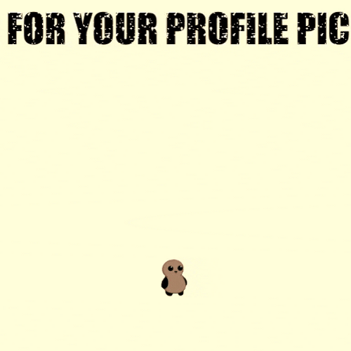 Dp Display Picture Profile Cute Heart GIF