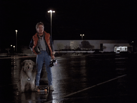 Dr Emmet Brown Descending Delorean GIF