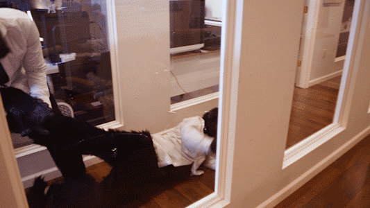 Dragging Monkey Man Outside GIF