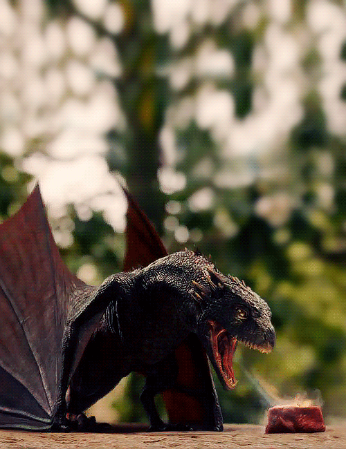 Dragon 3d Cartoon Barbecue GIF