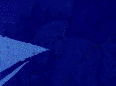 Dragon Ball Gohan Super Saiyan Power GIF