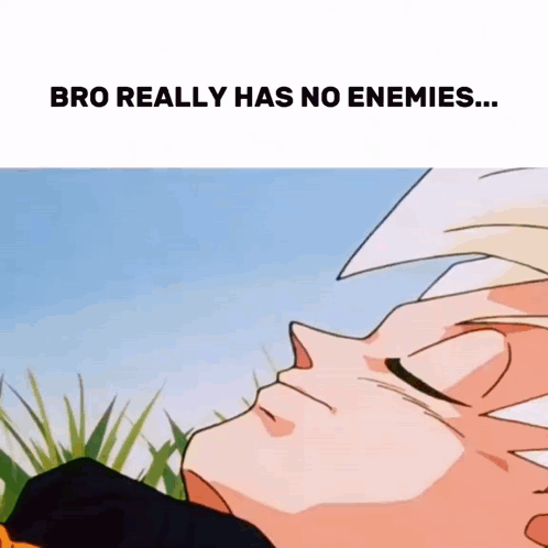 Dragon Ball I Have No Enemies GIF