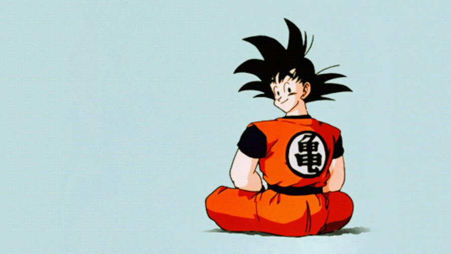 Dragon Ball Z Goku Gohan GIF