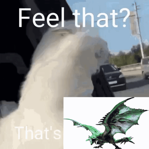 Dragon Feel That and That's