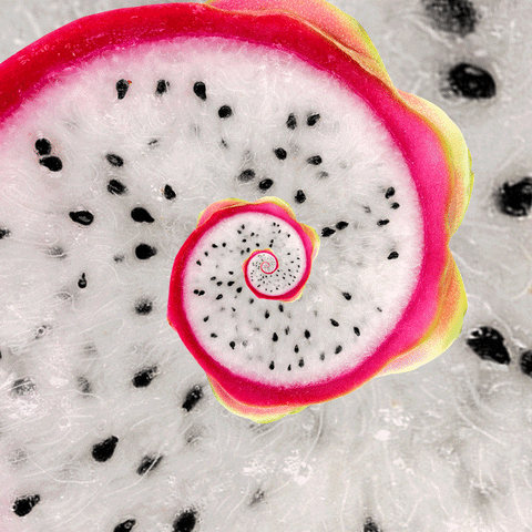 Dragon Fruit Hypnosis Spiral GIF