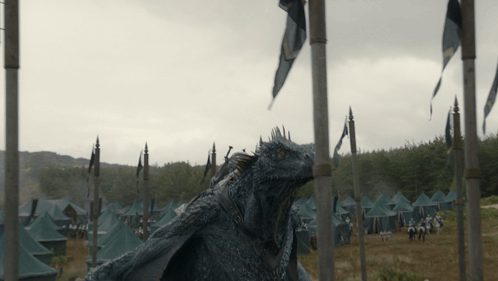 Dragon In Field With Tents And Flags GIF