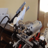 Dragon Robot Bearded Dragon GIF