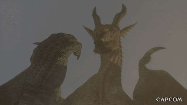 Dragon's Dogma Eye Zoom In GIF